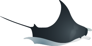 manta-Asset 18