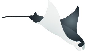 manta-Asset 19