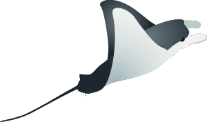 manta-ray-graphics-updated-inc circle