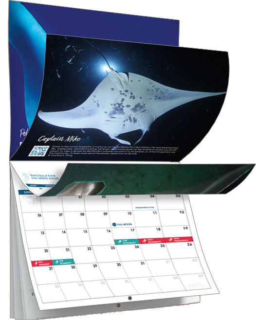 2025 Mantas of Kona Calendar flipped open showing an image of a manta ray