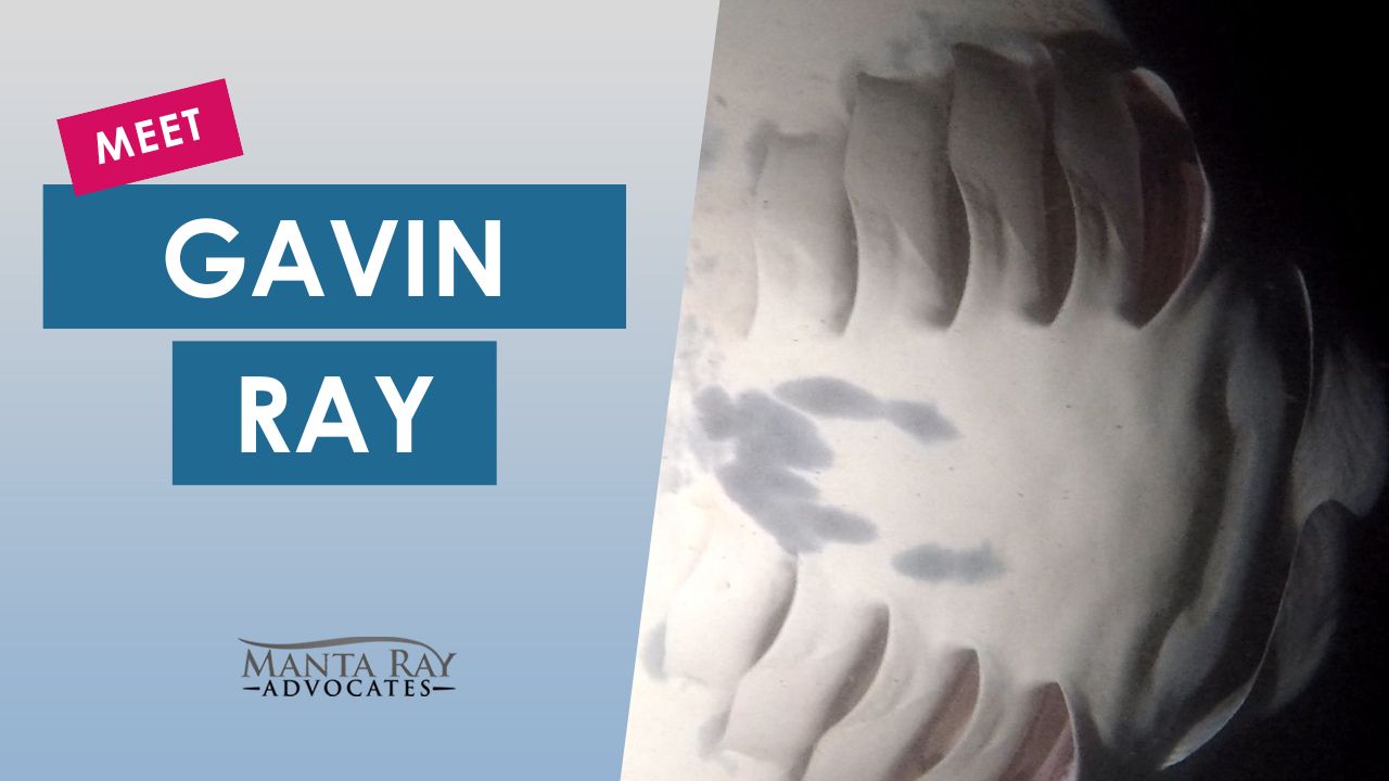 Gavin Ray