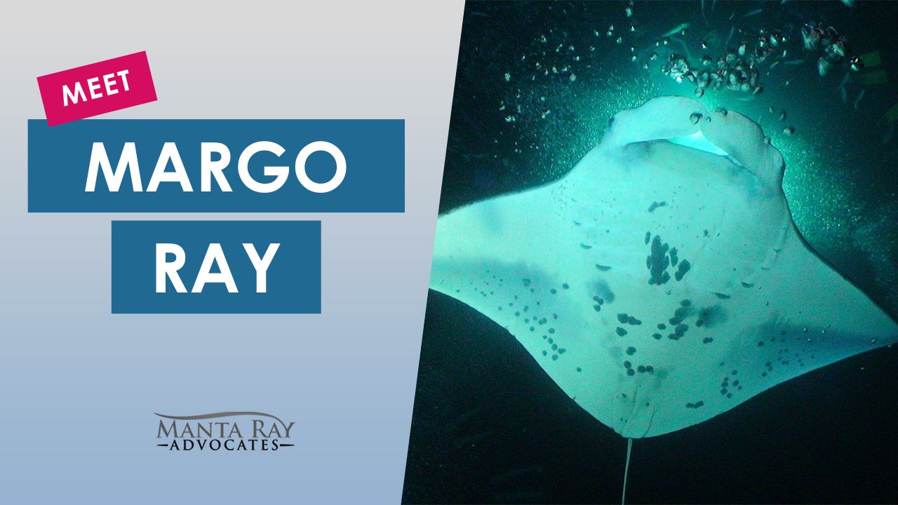 Margo Ray