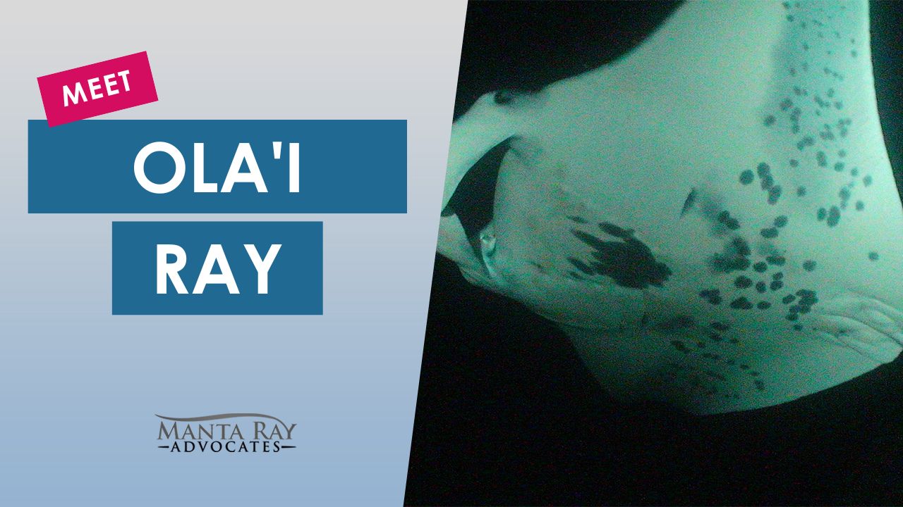 Ola’i Ray