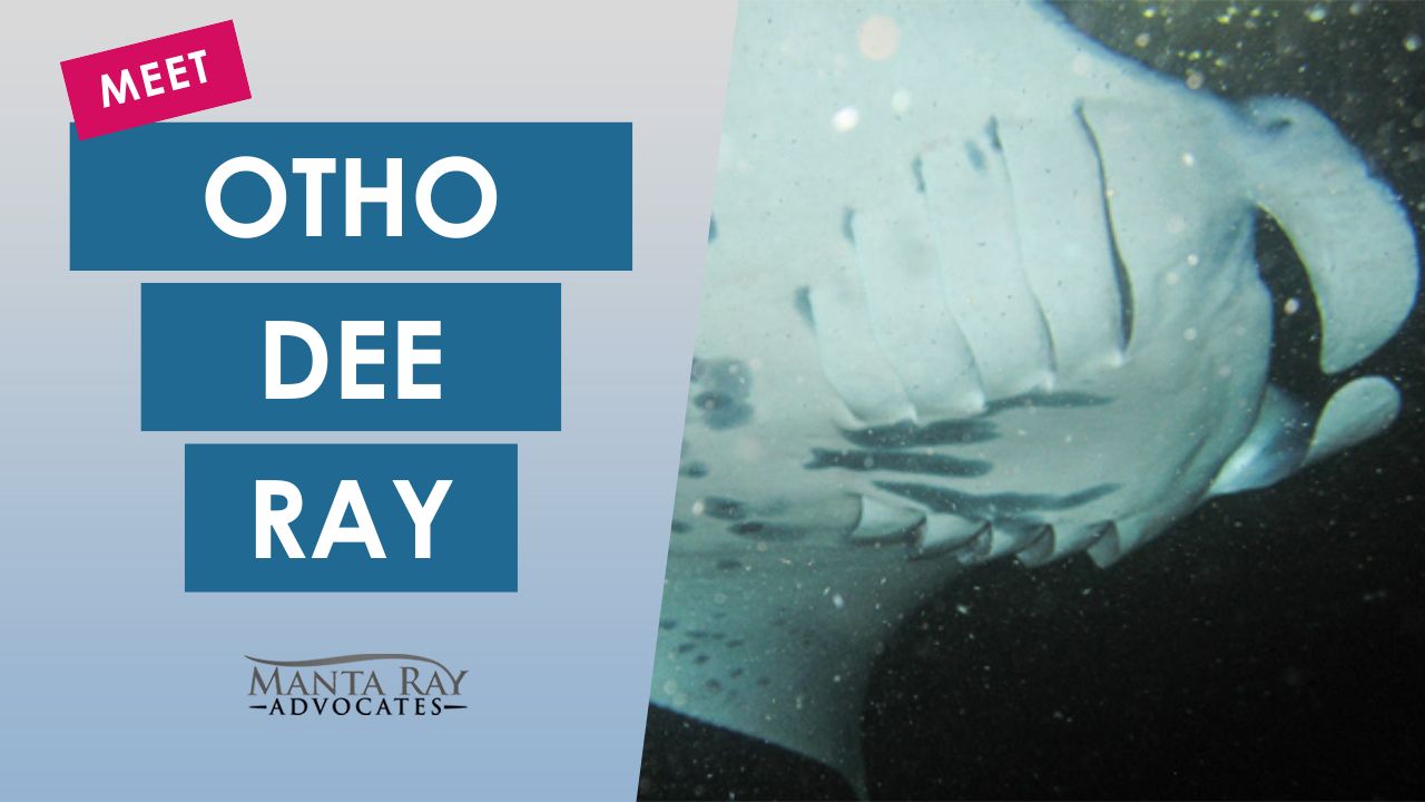 Otho Dee Ray