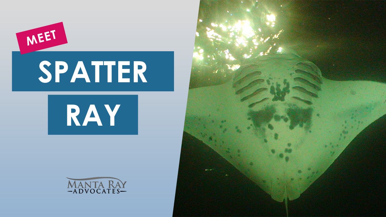 Spatter Ray