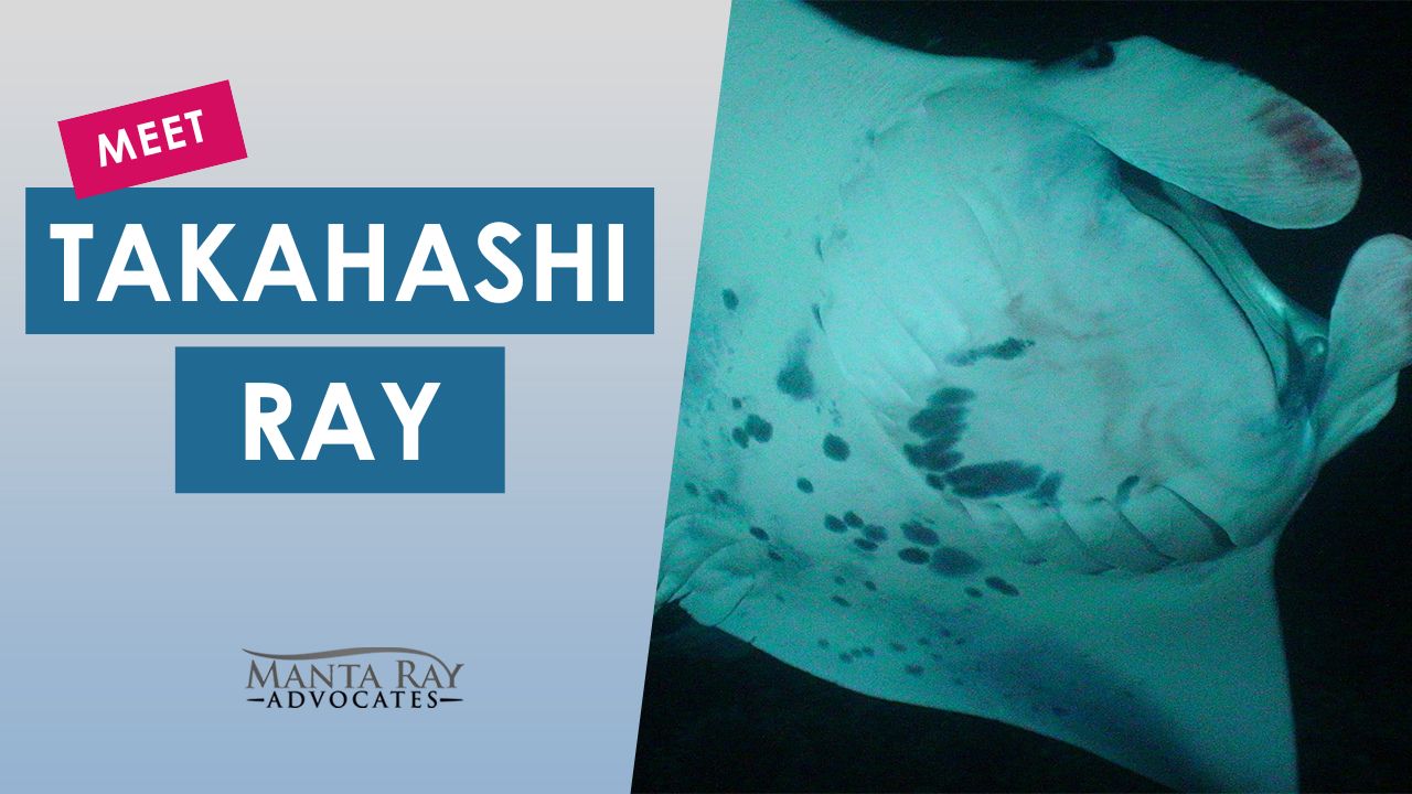Takahashi Ray