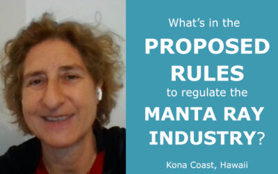 February 2023: Proposed Regulations for Manta Ray Tourism in Hawaii [VIDEO]