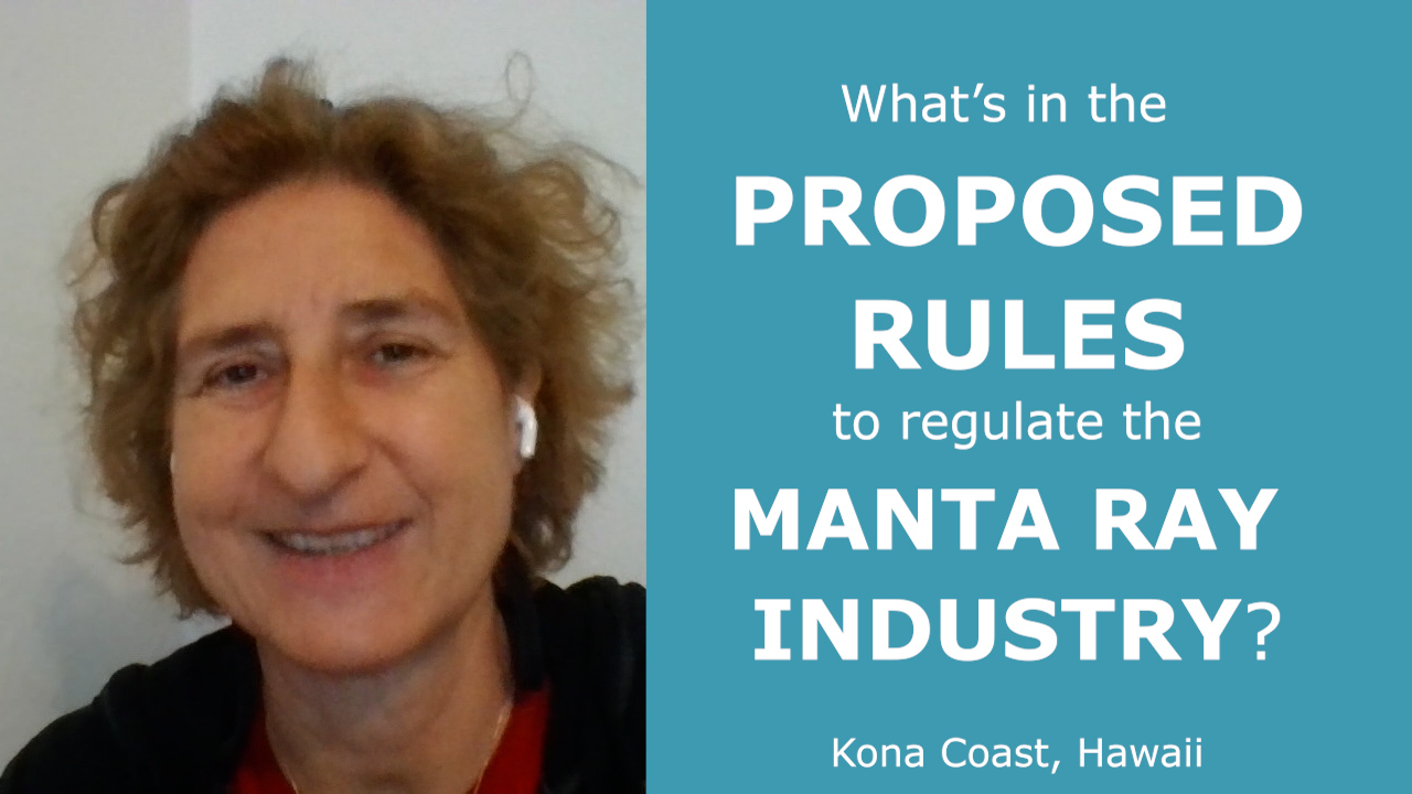 Thumbnail-Proposed-Rules-Review-1 Still of the video Martina recorded about the proposed regulations for manta ray tourism in Hawaii