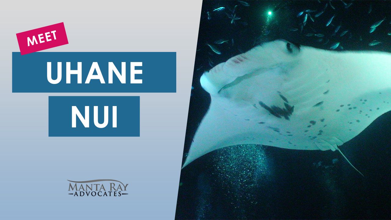 Uhane Nui