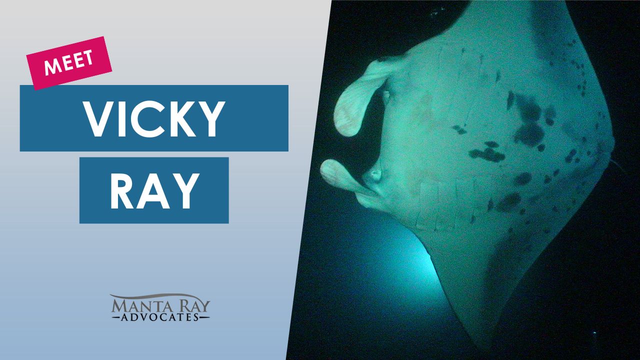 Vicky Ray