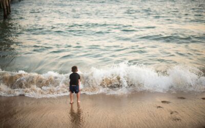 Ocean Books for Kids: 3 Fascinating Children’s Stories from the Ocean