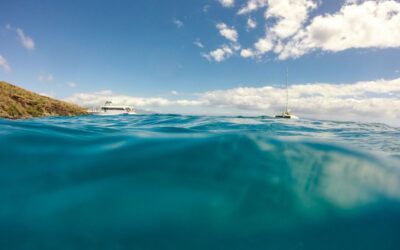 Proposed Regulations for Manta Ray Tourism in Hawaii