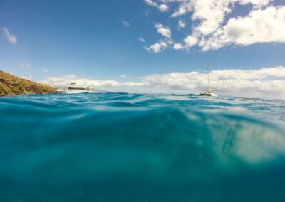Proposed Regulations for Manta Ray Tourism in Hawaii