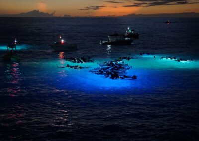 The Dark Side of Manta Ray Tourism: the Impact of Ecotourism on People, Mantas, and the Environment