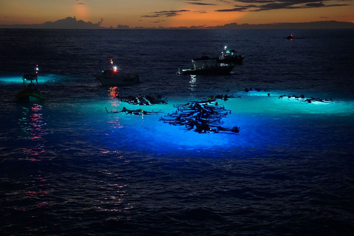 how mra boats manta ray tourism Manta ray tourism in Hawaii: snorkelers surrounded by boats