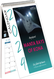 Kona Manta Rays calendar 2024