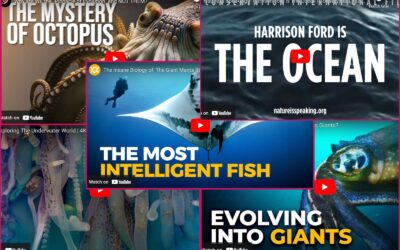 5 Inspiring YouTube Videos about Marine Life and the Ocean
