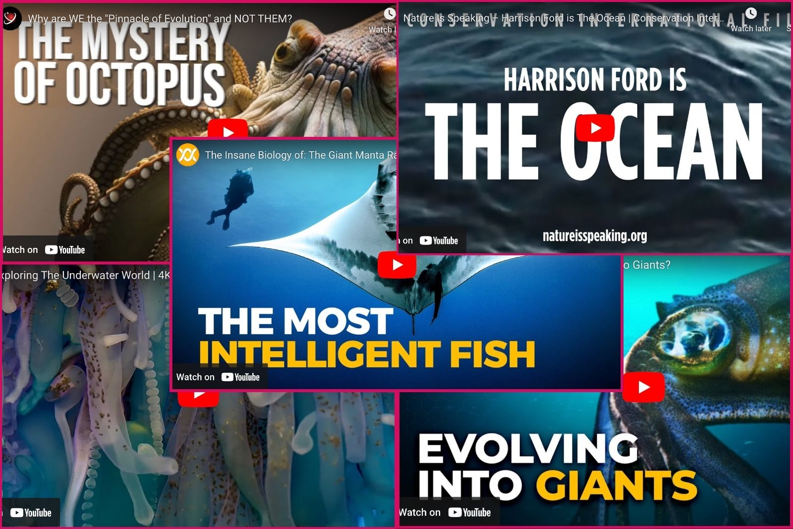 MRA ocean youtube videos Inspiring ocean videos on YouTube - collage showing covers of featured videos