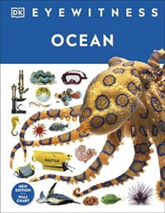 Eyewitness-Ocean
