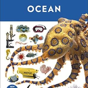 Eyewitness-Ocean