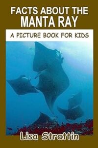 Facts-about-the-Manta-Ray-Lisa-Strattin