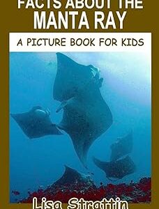 Facts About the Manta Ray (A Picture Book For Kids)