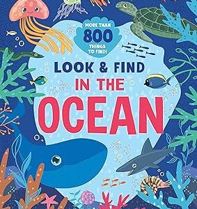 In-the-Ocean-More-than-800-things-to-find