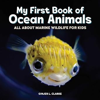 My-first-book-of-ocean-animals-Ginjer-L-Clarke