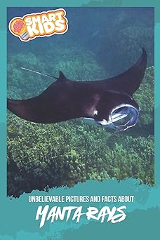 Unbelievable Pictures and Facts about Manta Rays