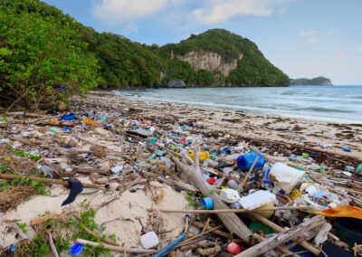 Why Beach and Coastal Cleanup are Essential for Marine Life Preservation