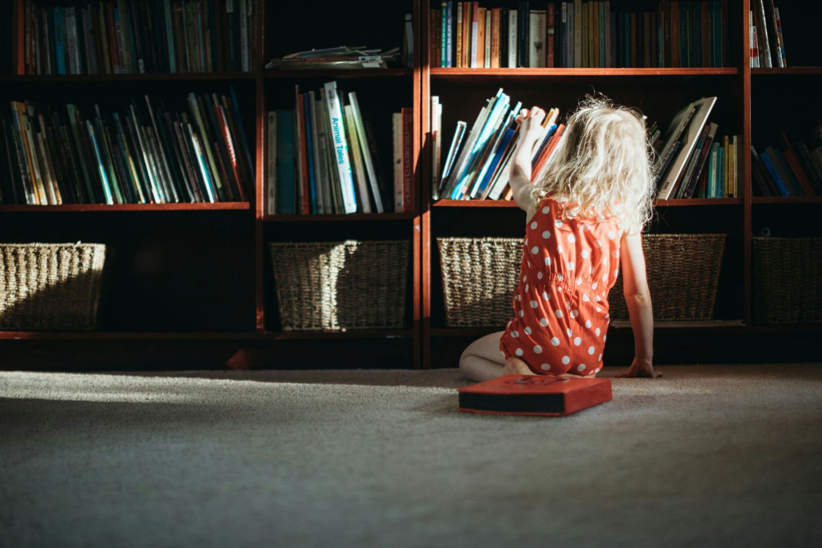 A young child in a red dress is sitting on the floor, selecting a book from a low wooden bookshelf filled with colorful children's books