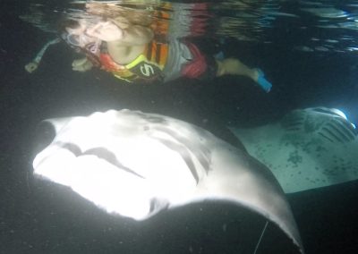 What are the chances of seeing manta rays at night?
