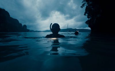 Cutting Corners: Tourist Boat Practices that Harm Humans and Mantas