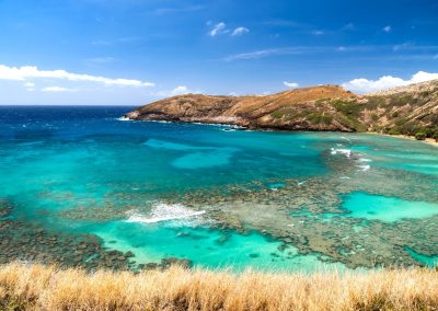 Marine Protected Areas and their Critical Role in Ocean Conservation