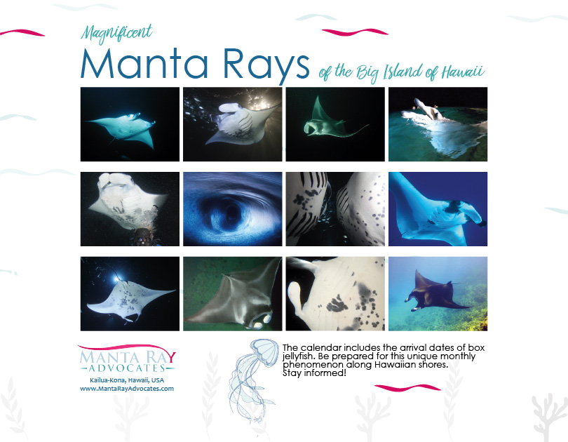 2025 Calendar back page showing the 12 manta images found inside the calendar