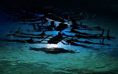 Manta Ray Tours in Hawaii: the Dangers of Snorkeling at Night Without a Guide