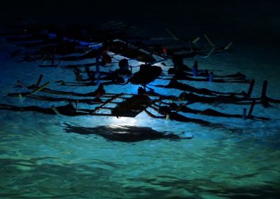Manta Ray Tours in Hawaii: the Dangers of Snorkeling at Night Without a Guide