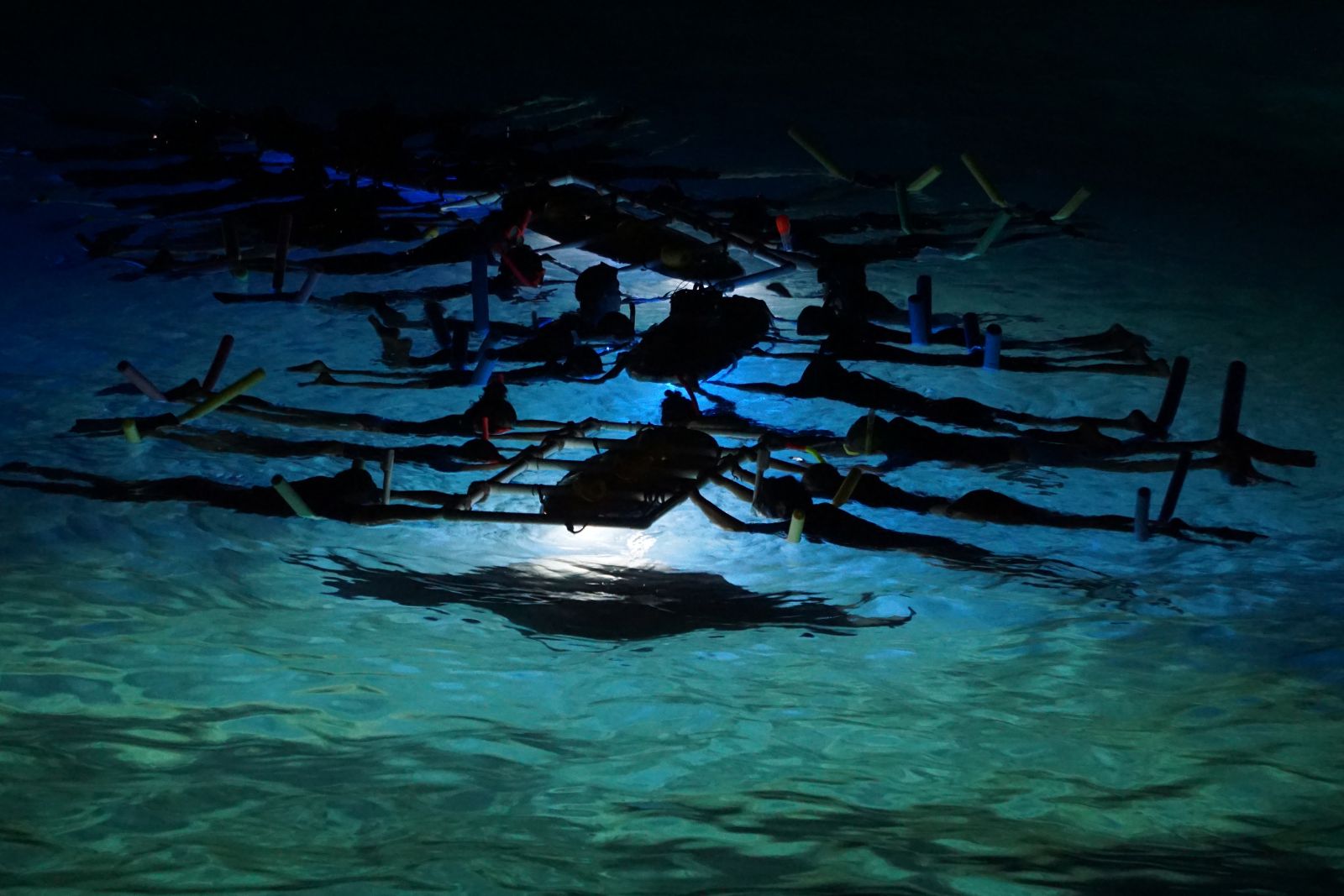 Dangers of snorkeling at night without a guide A photo of a snorkeling tour in Hawaii to illustrate the article about the dangers of snorkeling at night without a guide