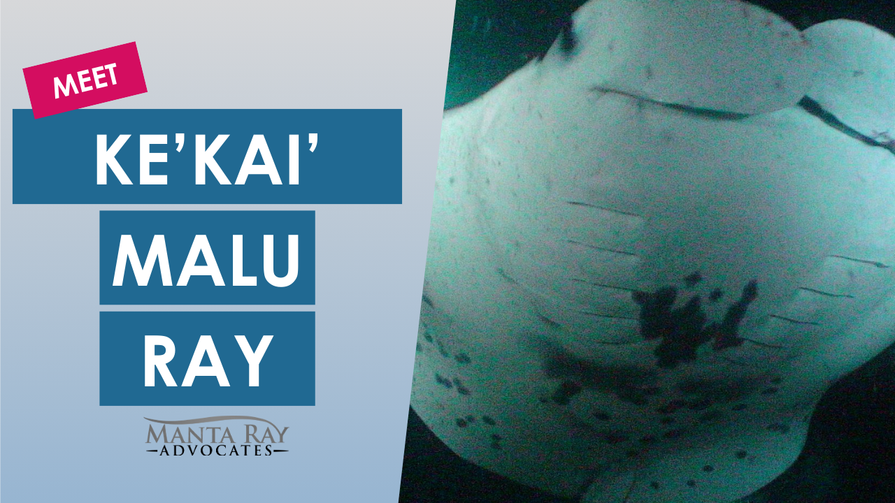 Ke’kai’malu Ray