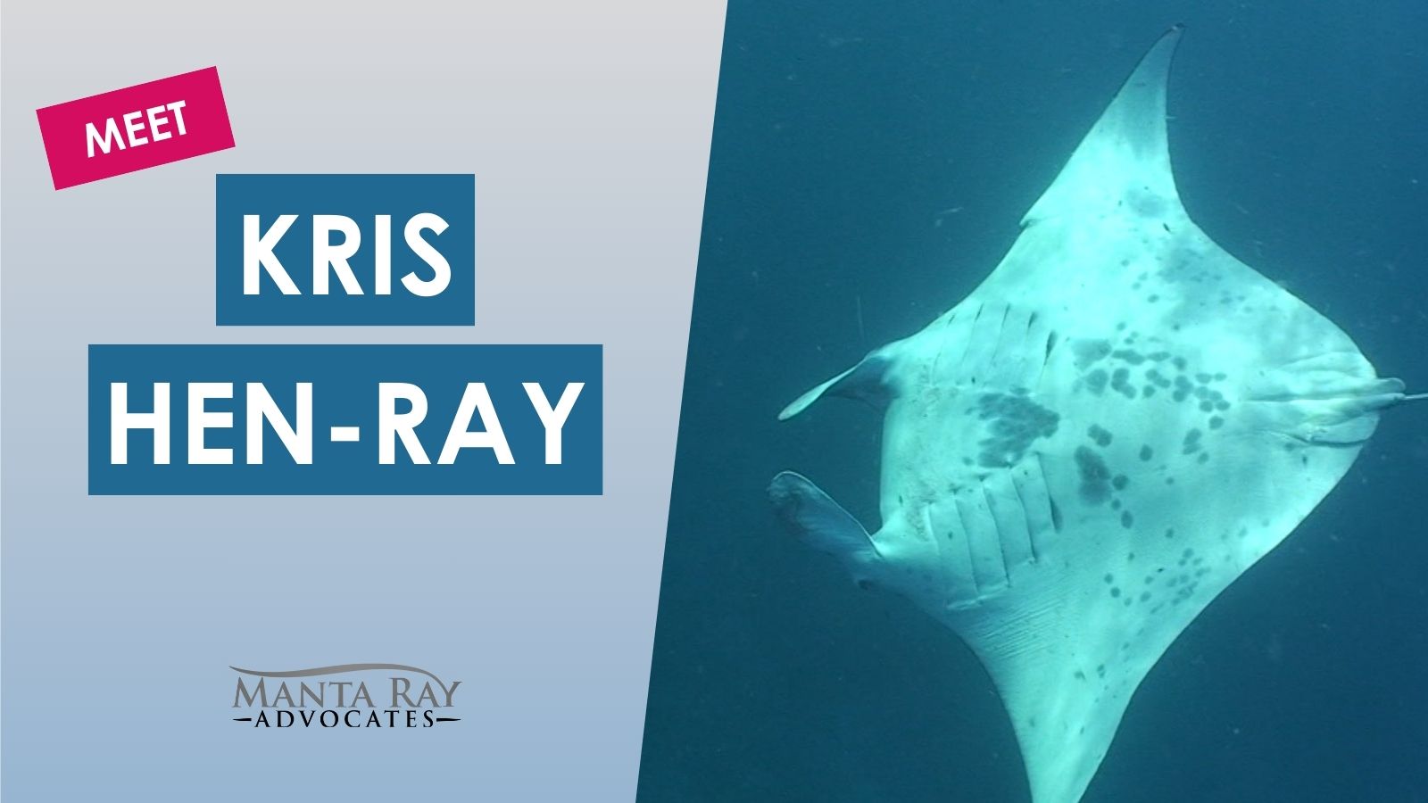 Kris Hen-Ray